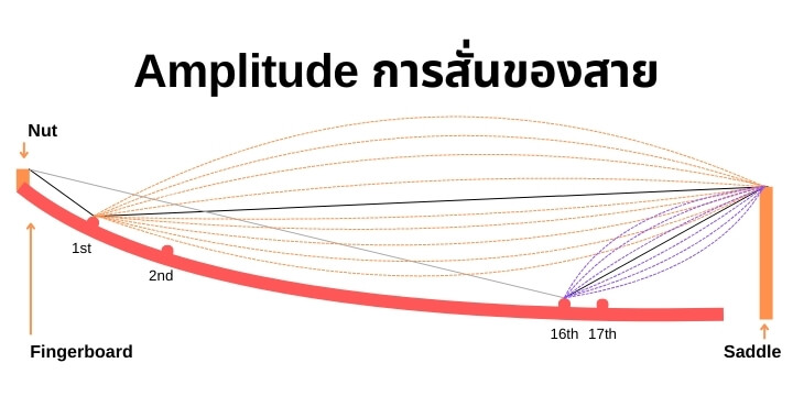 Amplitude การสั่นของสายในตำแหน่งต่างๆของคอ