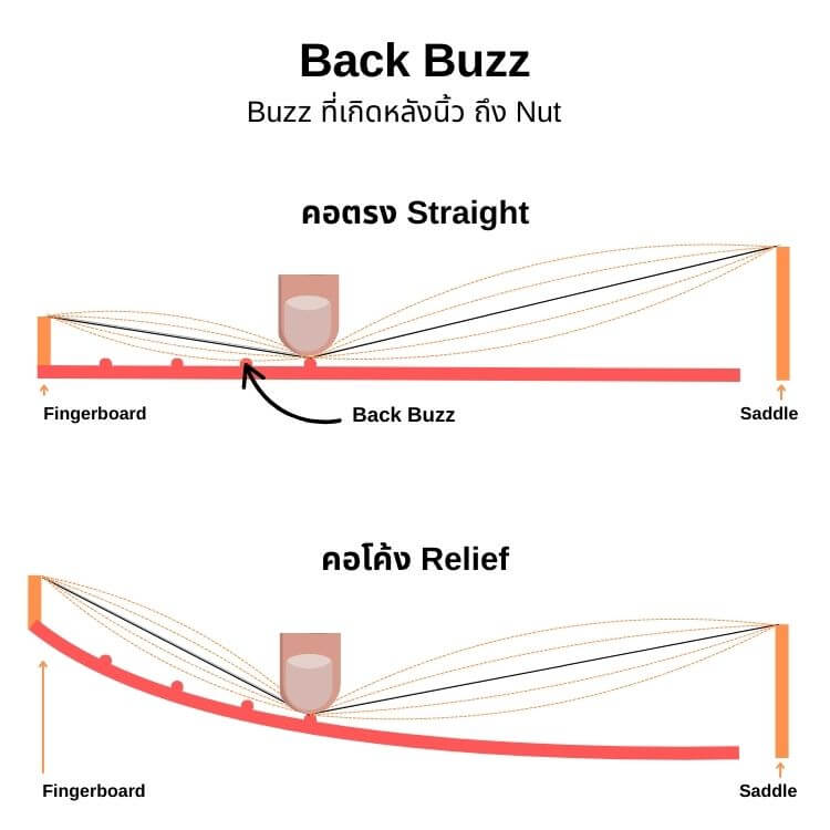 Back Buzz 