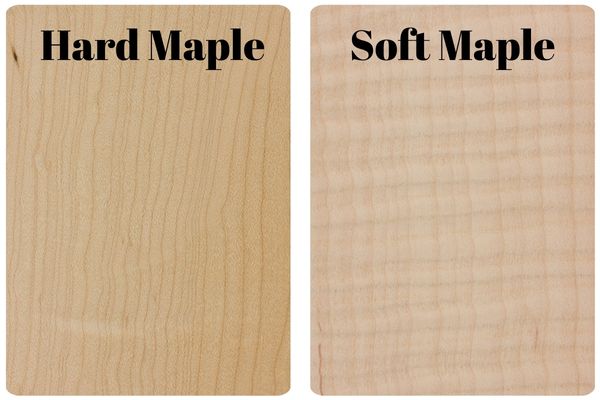 maple