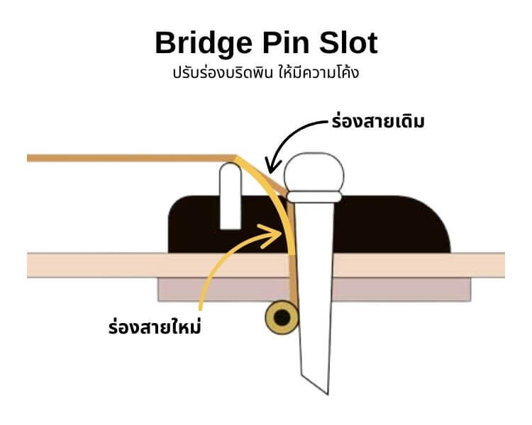 bridge pin slot
