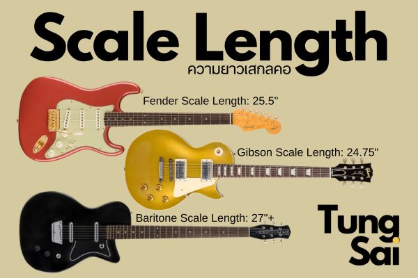 scale length ความยาวเสกลคอ