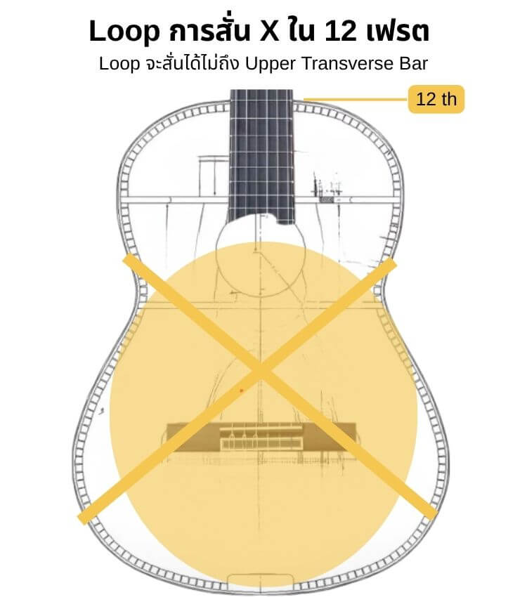 12 fret vibration area