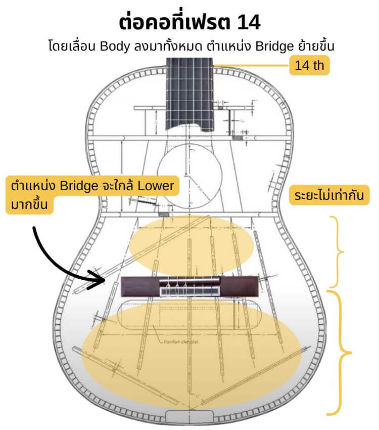 14 fret
