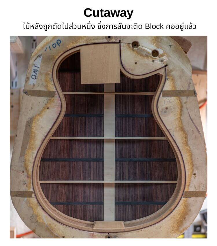 Back Cutaway