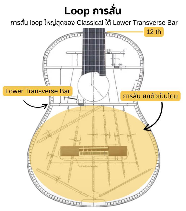 Classical Bridge position (2)