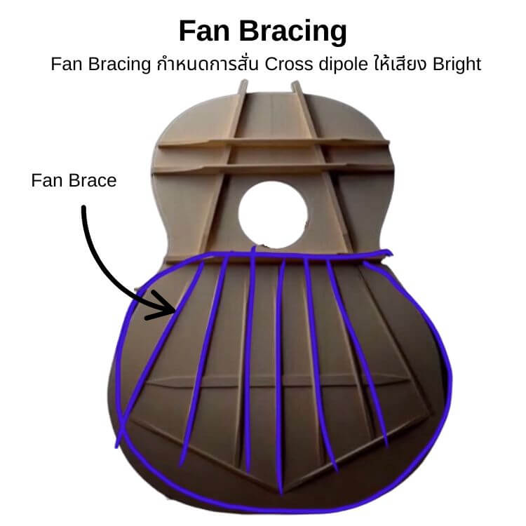fan bracing